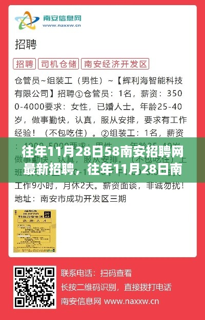 往年11月28日南安招聘网最新招聘概览及分析报告