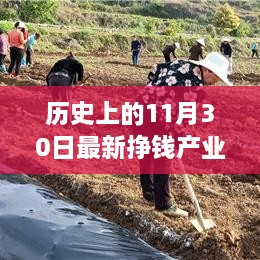 跟随主人公探寻最新挣钱产业，揭秘历史11月30日的奇妙旅程