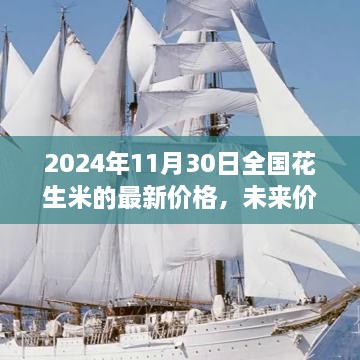 2024年全国花生米最新价格及未来动态预测，智能导航仪引领市场潮流