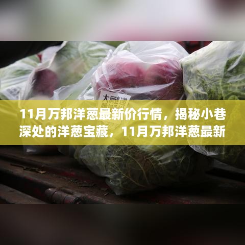 揭秘小巷深处的洋葱宝藏，11月万邦洋葱最新行情与特色小店的独特魅力