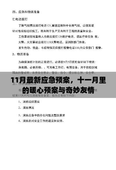 11月应急预案，暖心支援与奇妙友情的交织