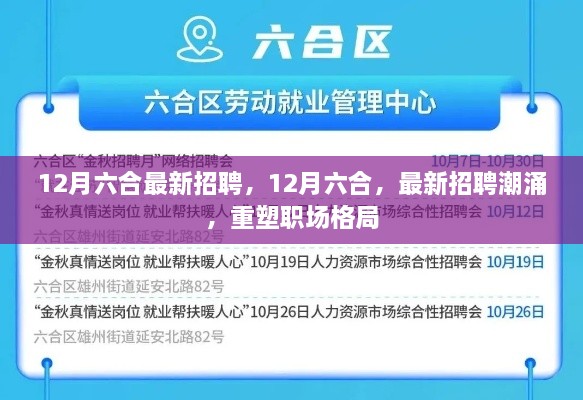 12月六合最新招聘潮涌，职场格局重塑