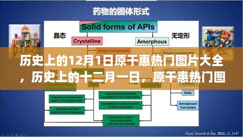 历史上的12月1日，原干惠热门图片回顾与解析