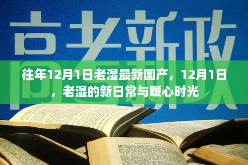 老湿新日常暖心时光，12月1日的最新国产记录