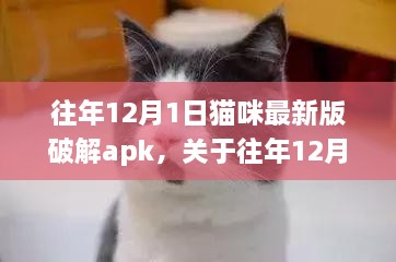 往年12月1日猫咪最新版破解apk评测与介绍，全面解析应用体验及功能特点