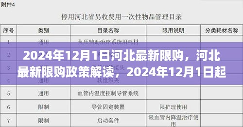 河北最新限购政策解读，2024年12月1日起正式实施及最新限购消息分析