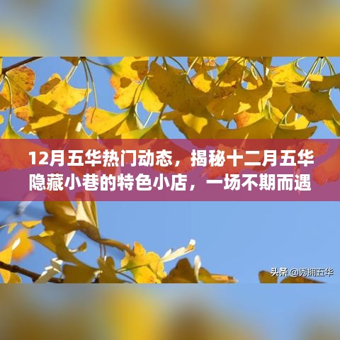 2024年12月 第1554页