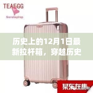 穿越历史与时尚，拉杆箱下的奇妙心灵之旅