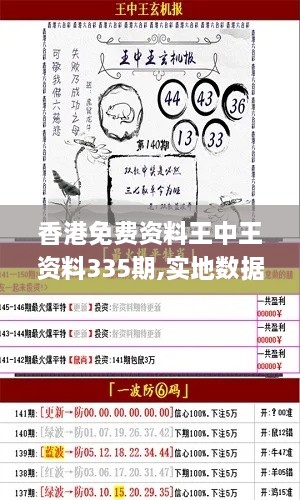 香港免费资料王中王资料335期,实地数据验证_EGT30.317文化传承版