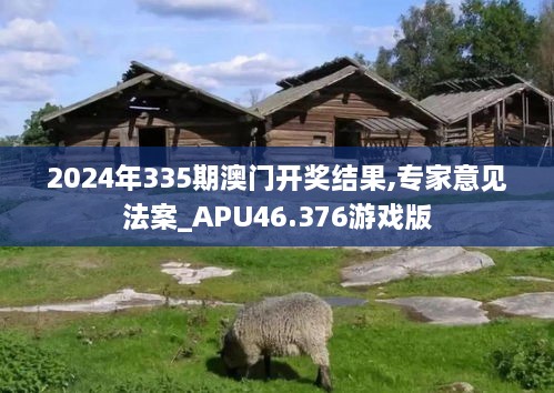 2024年335期澳门开奖结果,专家意见法案_APU46.376游戏版