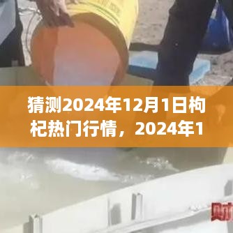 2024年12月1日枸杞行情展望与预测分析