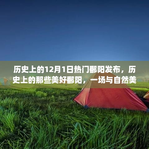 历史上的美好邂逅之旅，鄱阳美景的12月1日独家发布