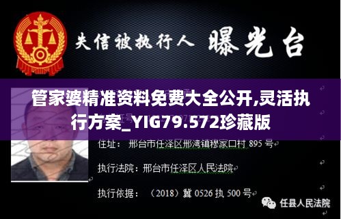 管家婆精准资料免费大全公开,灵活执行方案_YIG79.572珍藏版