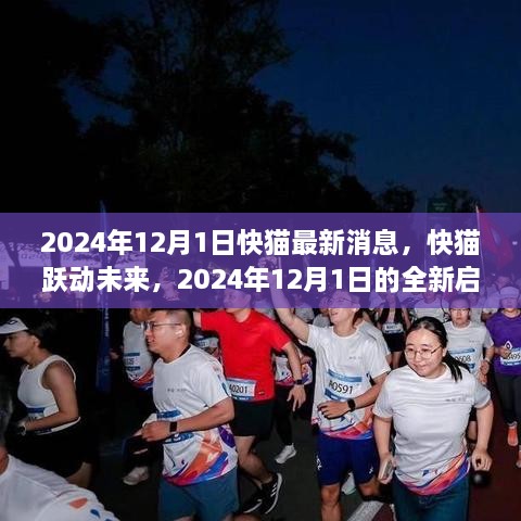 快猫跃动未来，2024年12月1日最新启示与学习变化塑造自信成就之路