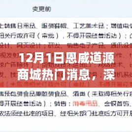 深度评测恩威道源商城，特性、体验、竞品对比及用户群体分析报告发布