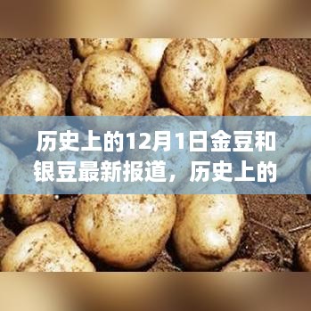 历史上的12月1日金豆与银豆产品深度评测及最新报道汇总