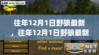 探索野狼世界，季节性变迁的最新动态（往年12月1日观察）