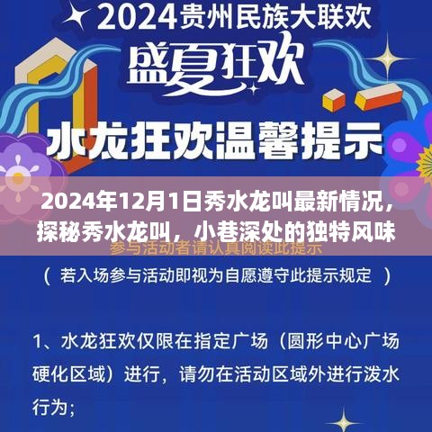 探秘秀水龙叫，小巷深处的独特风味——2024年12月最新惊喜发现