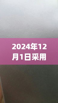 探秘皮革柔情馆，柔软手感背后的故事与小巷深处的皮革魅力（2024年12月1日）