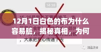 揭秘，为何在12月1日白色布料容易脏的原因分析