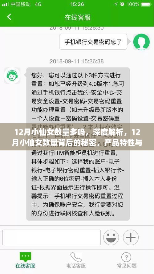 揭秘十二月小仙女数量背后的秘密，深度解析与产品特性体验大揭秘