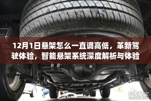 智能悬架系统深度解析，如何调整高低，革新驾驶体验与体验报告