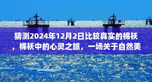 心灵与自然美景的猜想之旅，启程于棉袄中的冬日启程日（2024年12月2日）