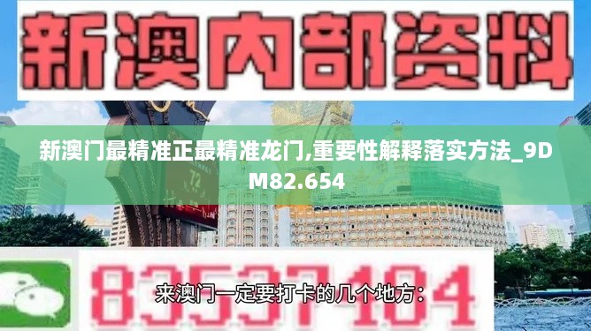 新澳门最精准正最精准龙门,重要性解释落实方法_9DM82.654