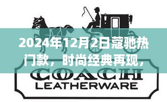 2024年12月2日蔻驰热门款，时尚经典再现，2024年12月2日蔻驰热门款大解析