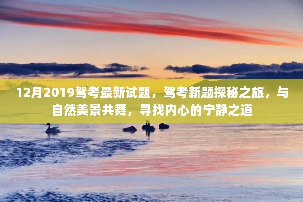 驾考新题探秘之旅，与自然美景共舞，寻找内心宁静的驾驶之道（2019年12月最新试题）