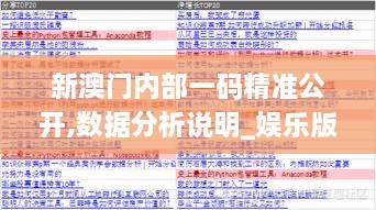 新澳门内部一码精准公开,数据分析说明_娱乐版84.491-9