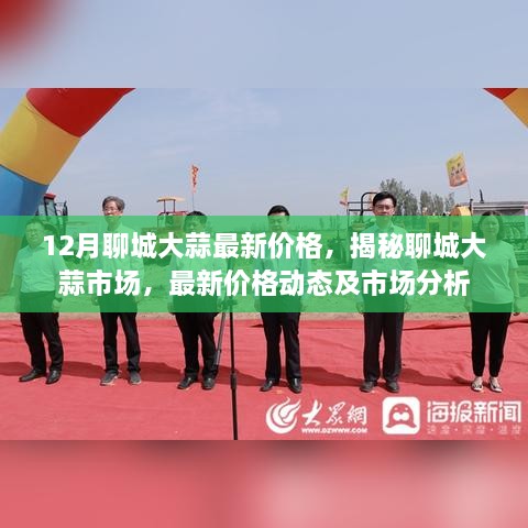 12月聊城大蒜最新价格，揭秘聊城大蒜市场，最新价格动态及市场分析