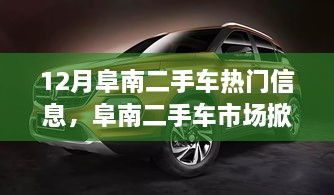 揭秘十二月阜南二手车市场科技革新风暴，热门车型的极致体验与高科技魅力