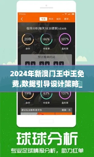 2024年新澳门王中王免费,数据引导设计策略_精简版71.460-9