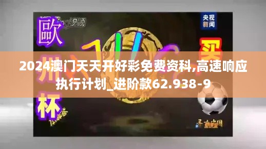 2024澳门天天开好彩免费资科,高速响应执行计划_进阶款62.938-9