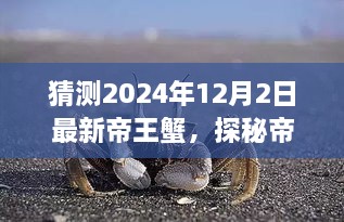 探秘与预测2024年帝王蟹新篇章，远离尘嚣的心灵之旅