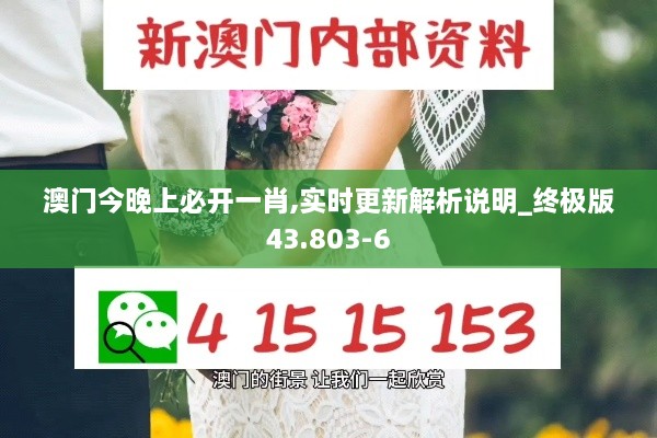 澳门今晚上必开一肖,实时更新解析说明_终极版43.803-6