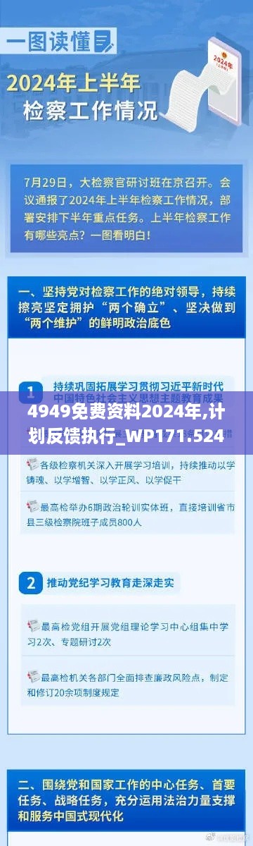 4949免费资料2024年,计划反馈执行_WP171.524-2