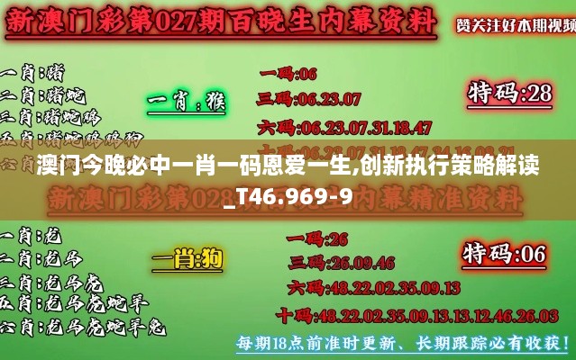 澳门今晚必中一肖一码恩爱一生,创新执行策略解读_T46.969-9