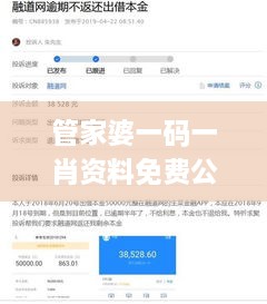 管家婆一码一肖资料免费公开,数据分析说明_PalmOS29.625-6