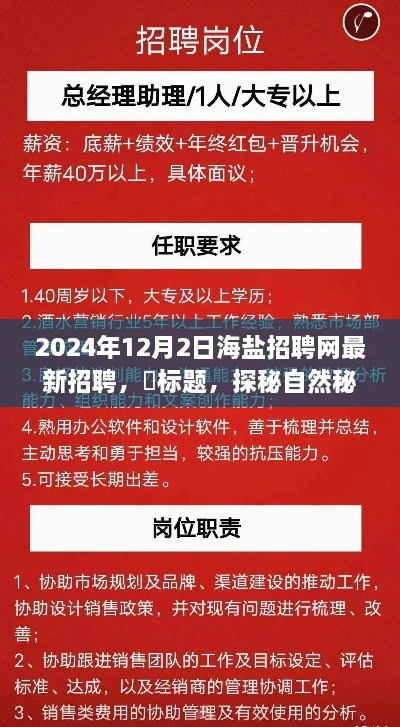 探秘自然秘境，启程职场之旅——海盐招聘网最新招聘信息发布，2024年12月2日盛大开启，希望符合您的要求，您还可以根据需求进行进一步调整。