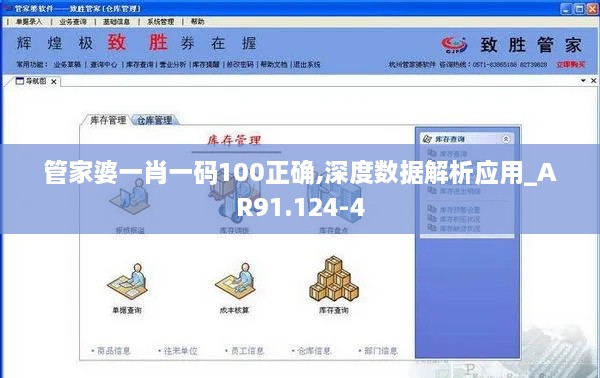 管家婆一肖一码100正确,深度数据解析应用_AR91.124-4