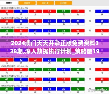 2024澳门天天开彩正版免费资料338期,深入数据执行计划_策略版19.544-3