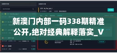 新澳门内部一码338期精准公开,绝对经典解释落实_VR13.215-2