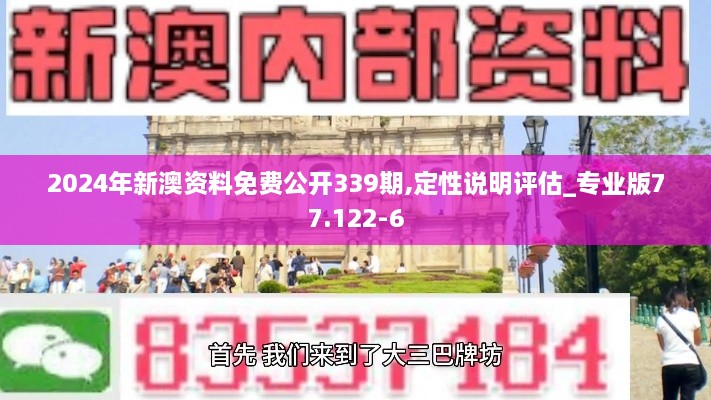 2024年新澳资料免费公开339期,定性说明评估_专业版77.122-6