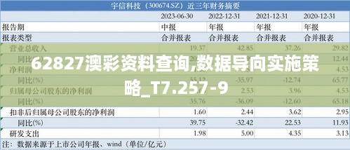 62827澳彩资料查询,数据导向实施策略_T7.257-9