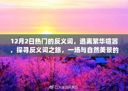 探寻反义词之旅，逃离喧嚣繁华，与自然美景的浪漫邂逅日