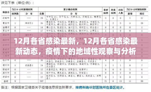 12月各省感染最新动态，疫情下的地域性观察与分析报告