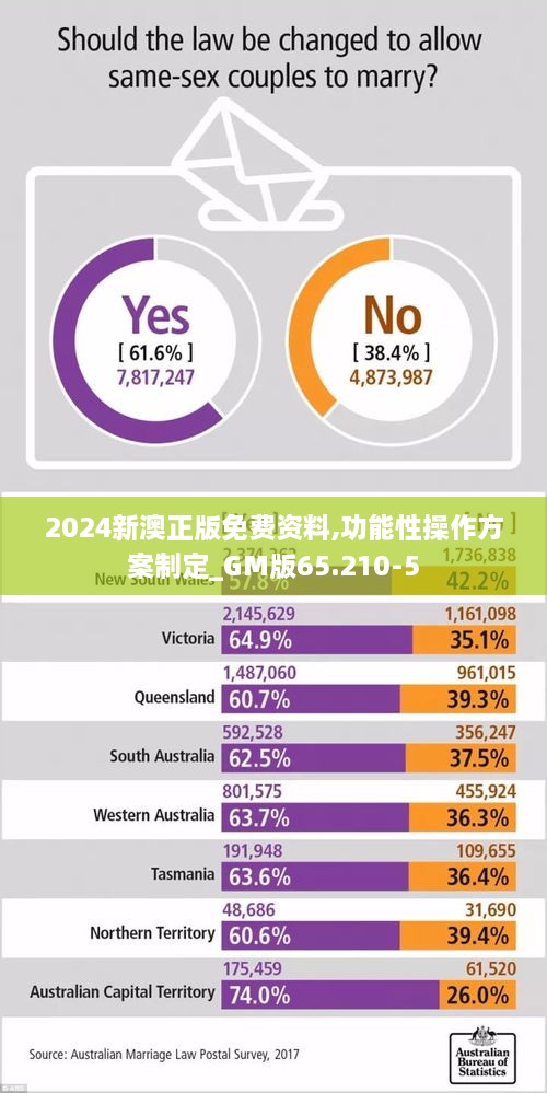 2024新澳正版免费资料,功能性操作方案制定_GM版65.210-5