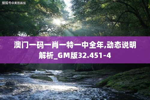 澳门一码一肖一特一中全年,动态说明解析_GM版32.451-4